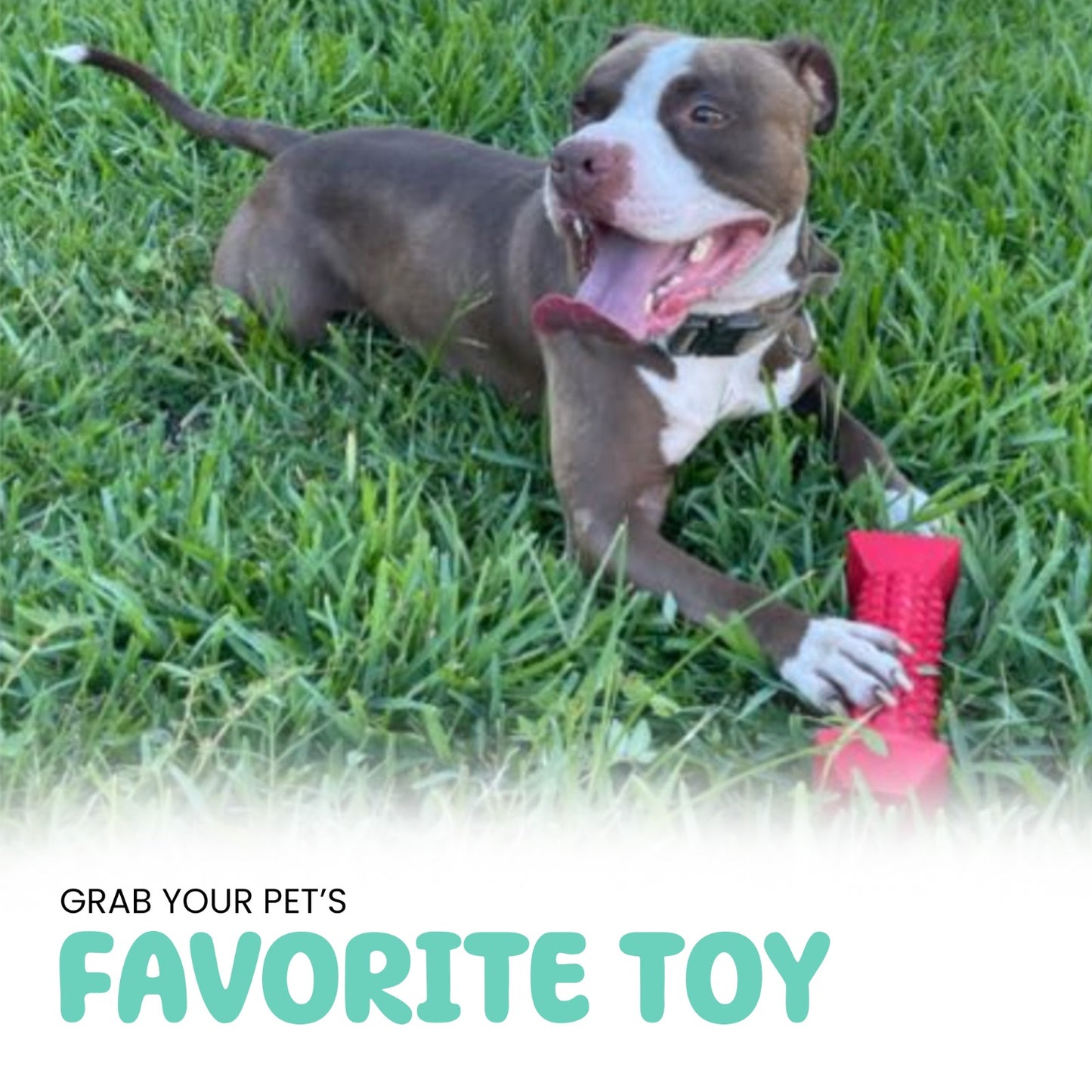 Interactive dog toy for aggressive chewers - helps clean teeth and massage gums