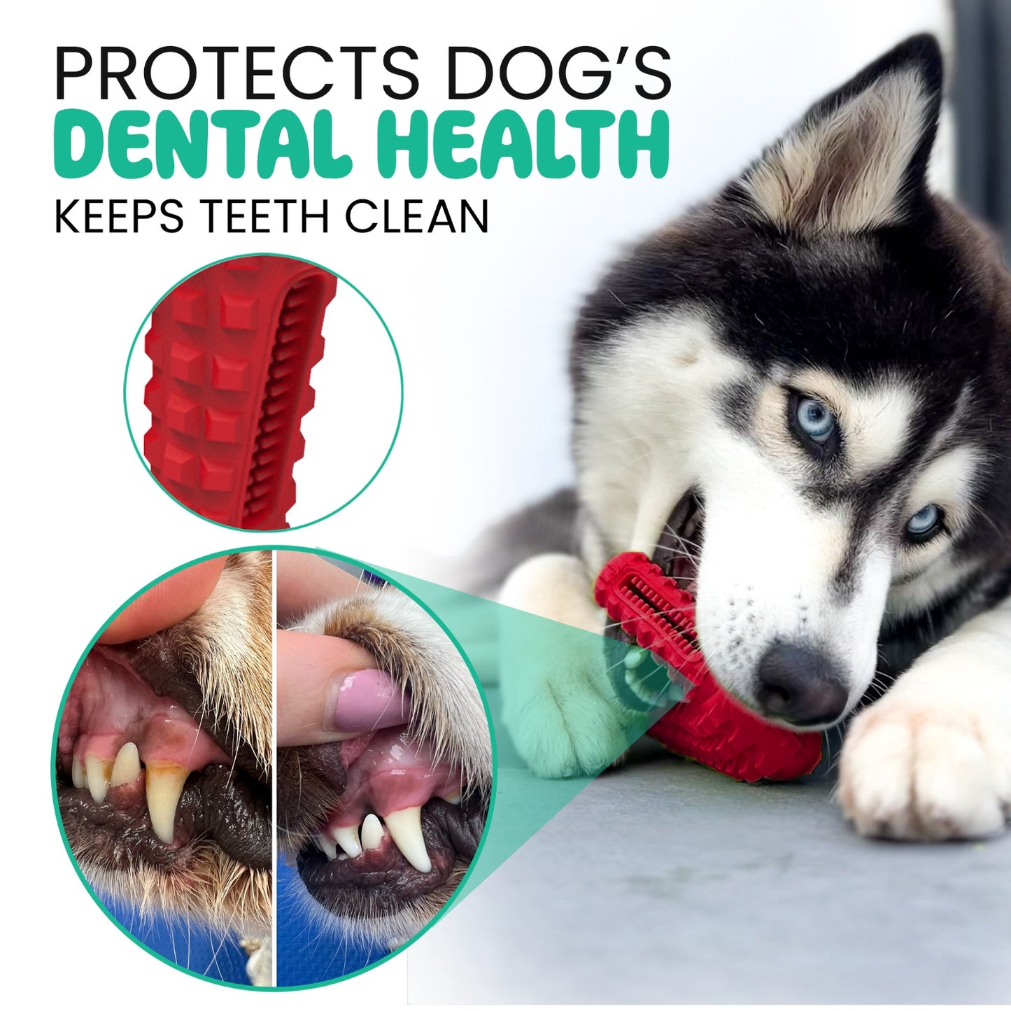 A playful display of a blue, toothbrush-inspired rubber dog toy shaped like a high-heeled shoe, featuring dense textured bristles on the sole and sides to clean teeth and gums while small to medium aggressive chewers play.