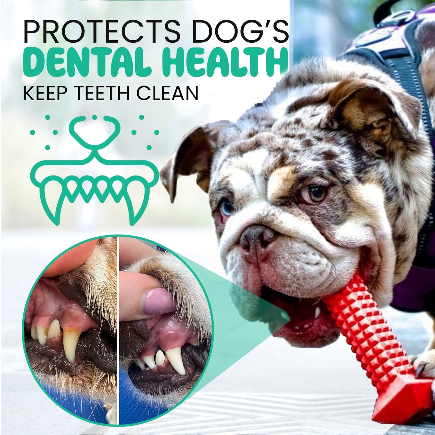 Heavy-duty dog toy for extreme chewers - keeps dogs entertained and engaged