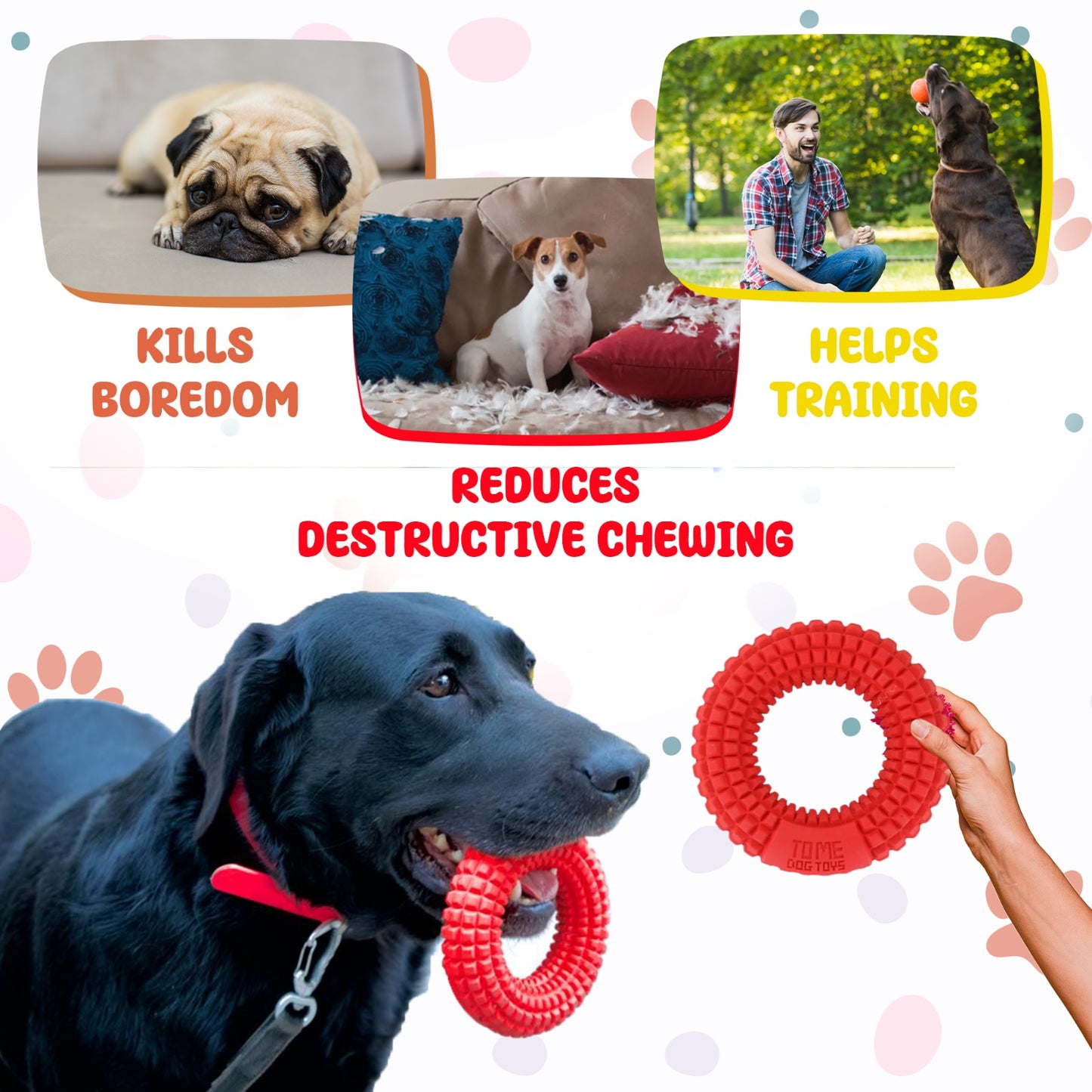 Set of 3 durable food dispenser balls for dogs - promotes healthy chewing habits