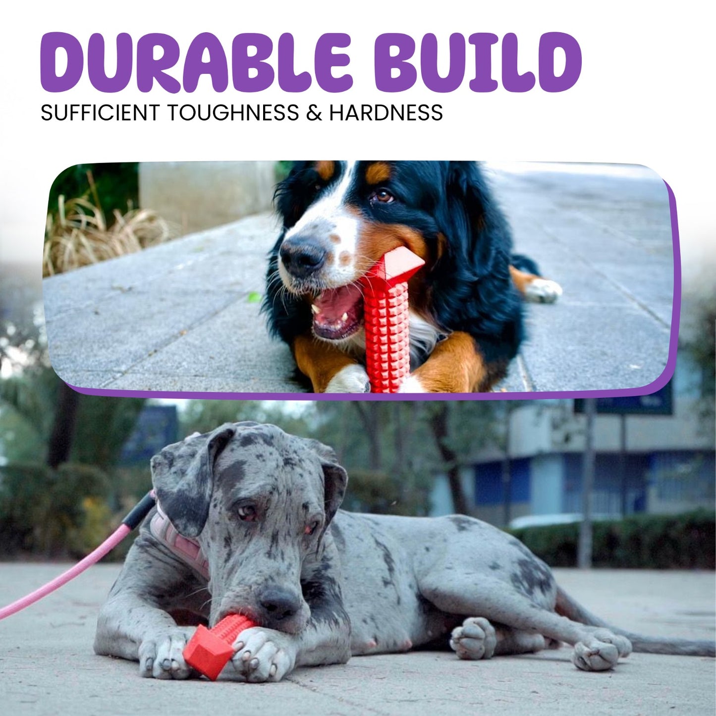 High-quality chew toy for small dogs