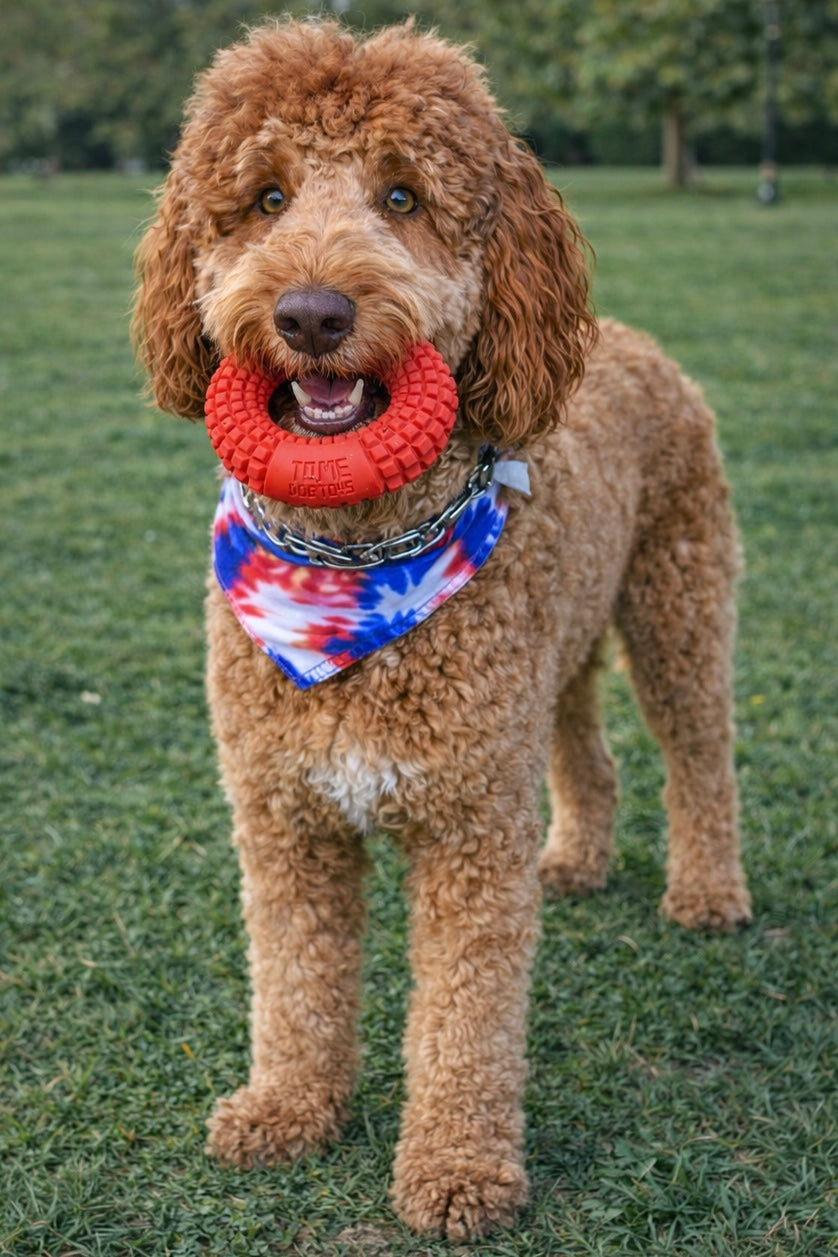 Ruber natural dog toys 