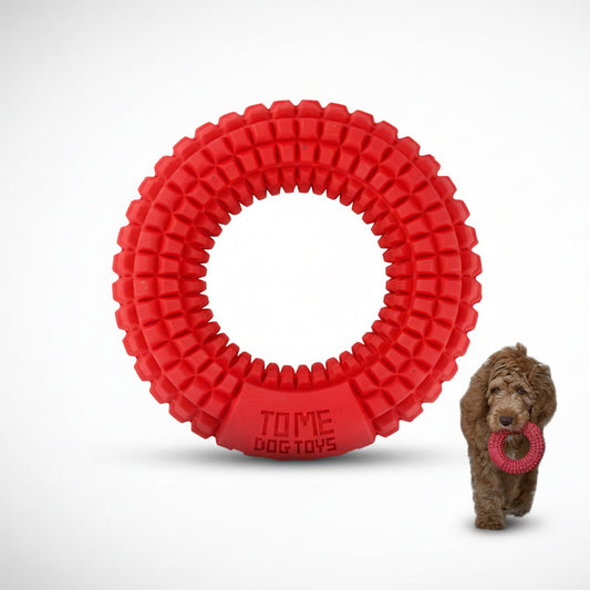 Red textured rubber chew ring toy featuring small raised bumps all around its surface, designed for medium to large aggressive chewers to chew, fetch, and promote dental health.