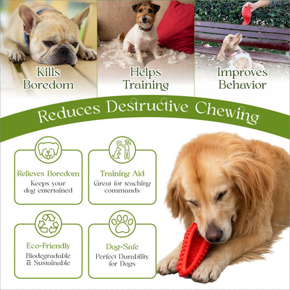 Dog Chew Toys for Aggressive Chewers - Treat Dispensing Chew Shoe Interactive Small Medium Dog Puzzle Toys