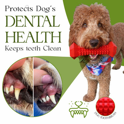 Dog Chew Toys for Aggressive Chewers – Tough Chew Toys for Dogs with Treat Dispenser – Chew Bones for Small, Medium Dogs