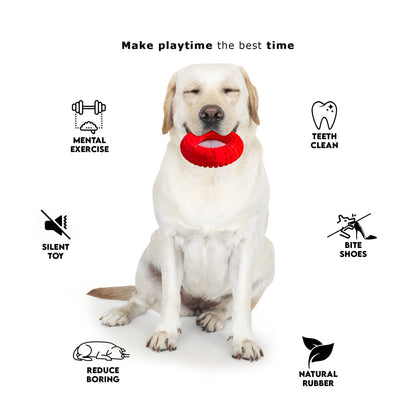SUPER RING - Indestructible, Solid Chew Toy
