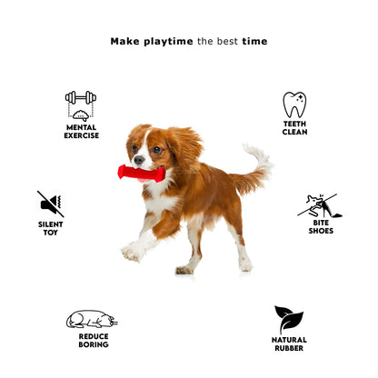 SUPER BONE – Chew Bones for Small, Medium Dogs